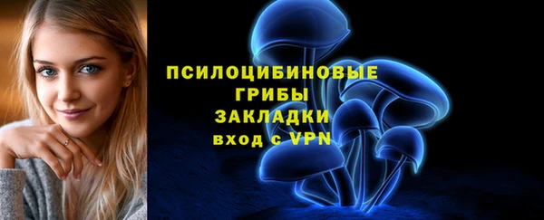 прущий лед Инсар