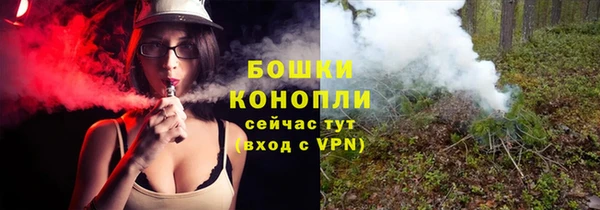 прущий лед Инсар